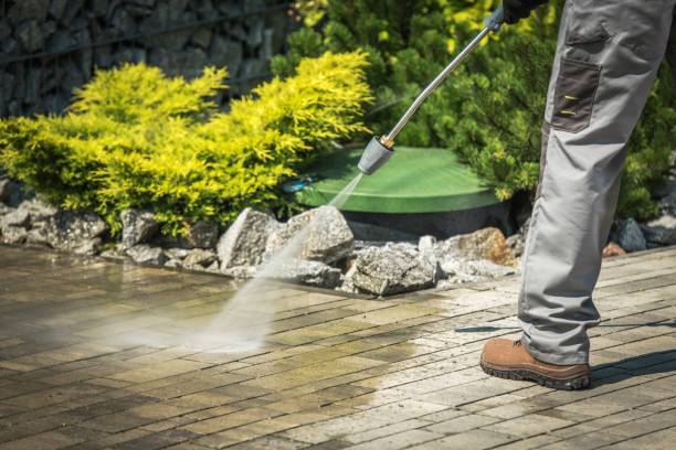 Best Winterizing Services  in Nicholls, GA
